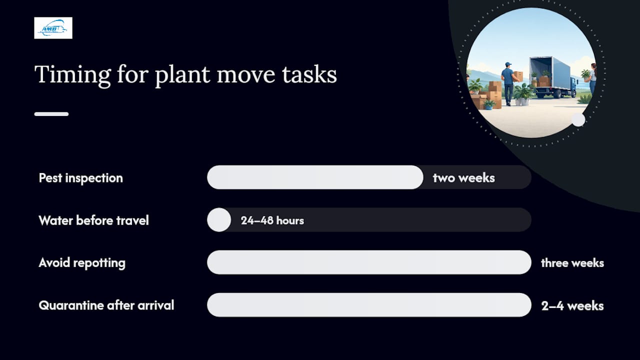 Diagram of plant moving regulations and care timeline